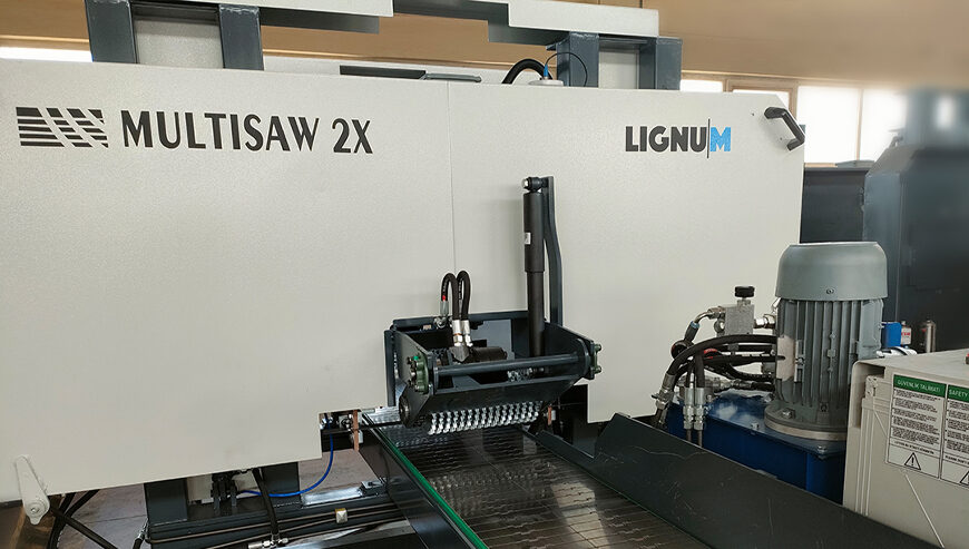 Lignum İkili Yatay Dilimleme Kapak Tipi / MultiSaw 2XX